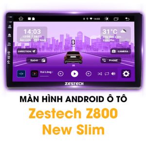 Z800 New