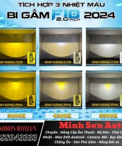 Bi Gam Xlight F10 2024 2 0 1